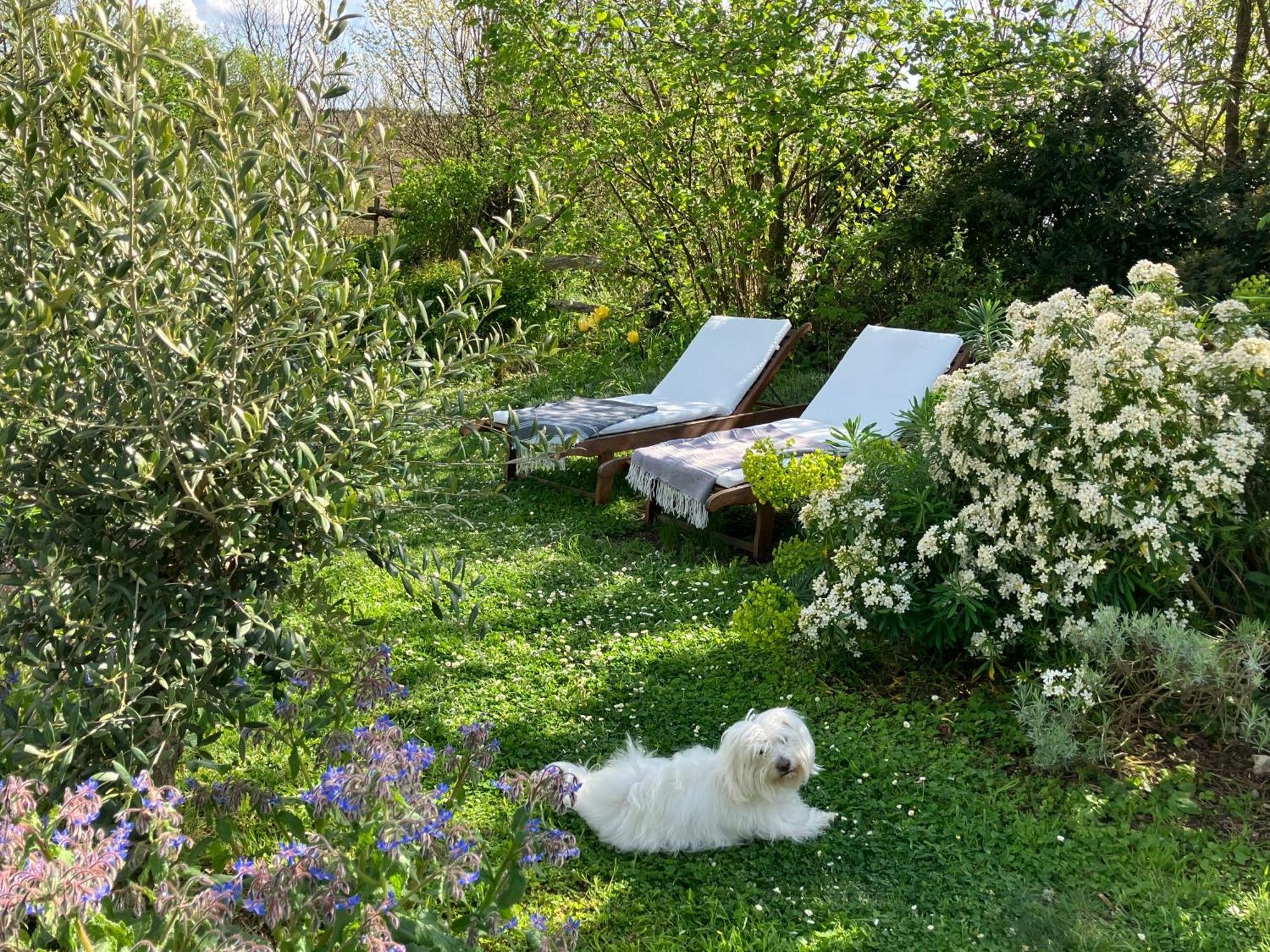 maison bohème Rou-Marson Esterno foto